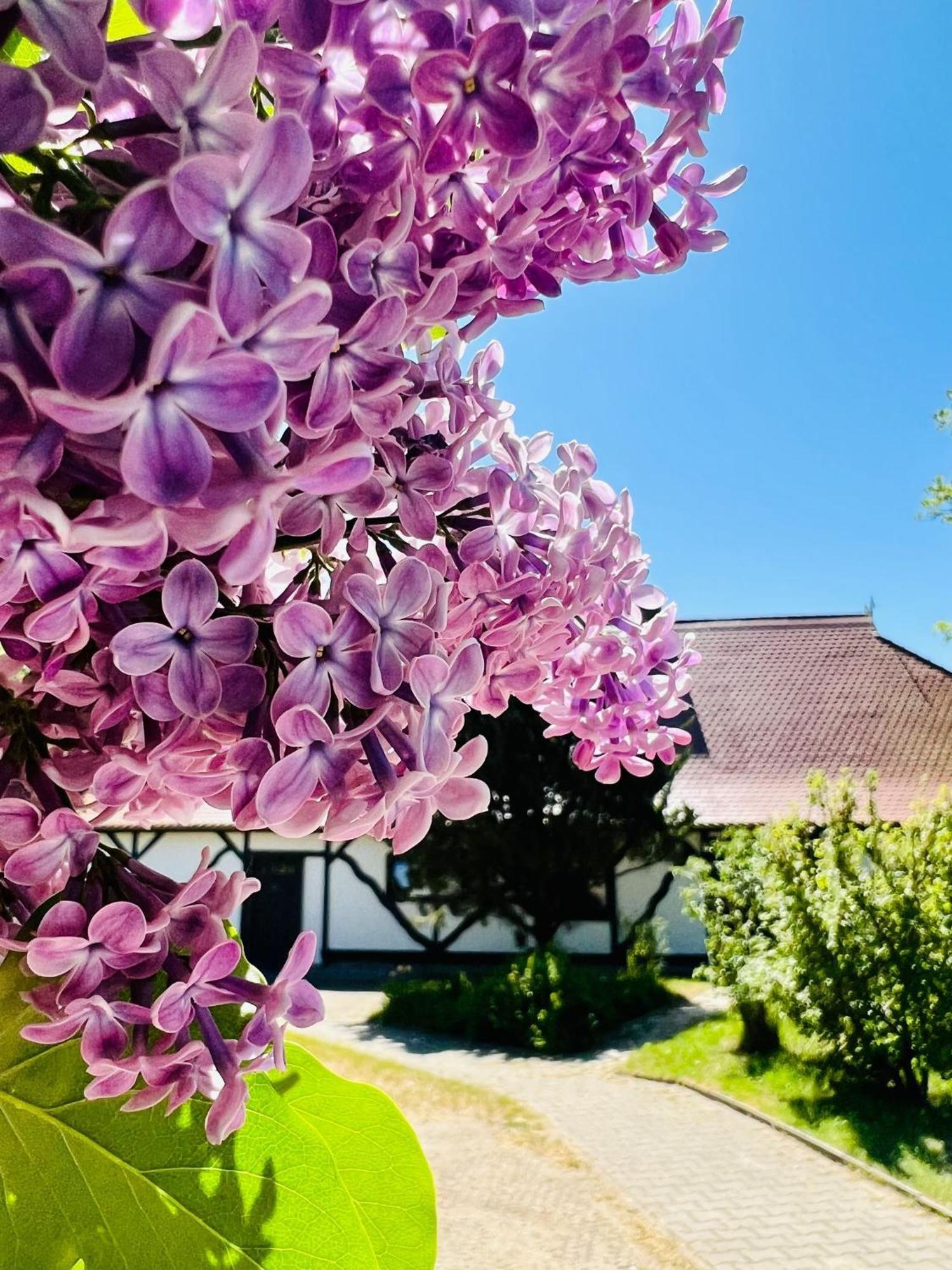 Ferienwohnung "Zur Rebe" Middelhagen Zewnętrze zdjęcie